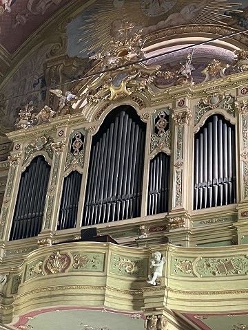 Organo Carlo Vegezzi Bossi 1898